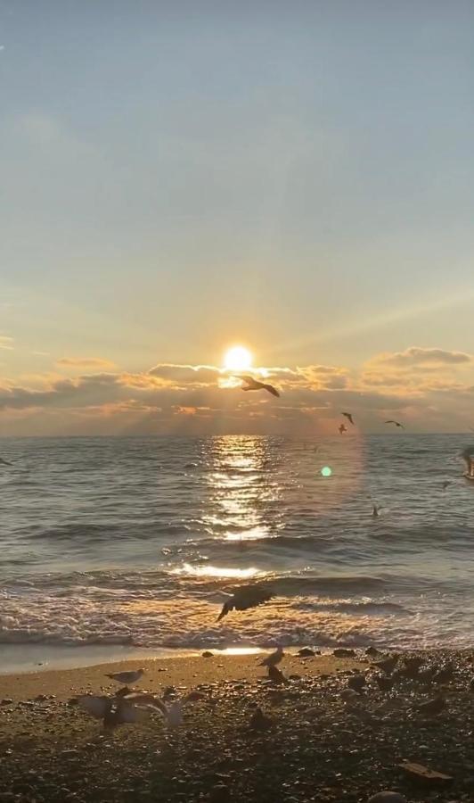 Orbi City Batumy View المظهر الخارجي الصورة